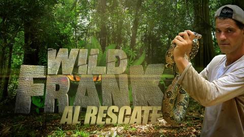 Resultado de imagen de Wild Frank